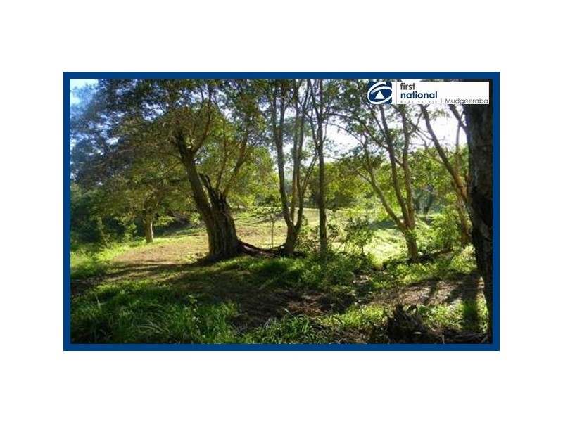 545 Austinville Road, Austinville QLD 4213