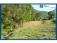 545 Austinville Road, Austinville QLD 4213