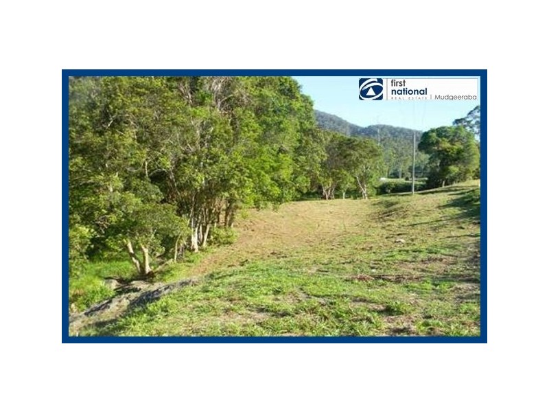 545 Austinville Road, Austinville QLD 4213