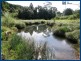 567 Austinville Road, Austinville QLD 4213