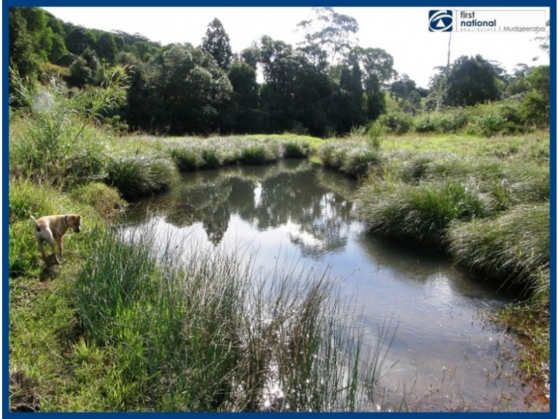 567 Austinville Road, Austinville QLD 4213