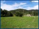 567 Austinville Road, Austinville QLD 4213