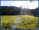 567 Austinville Road, Austinville QLD 4213