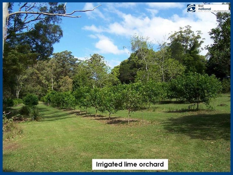 2215 Springbrook Road, Springbrook QLD 4213