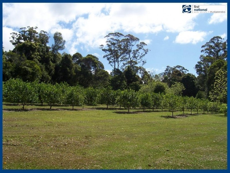 2215 Springbrook Road, Springbrook QLD 4213