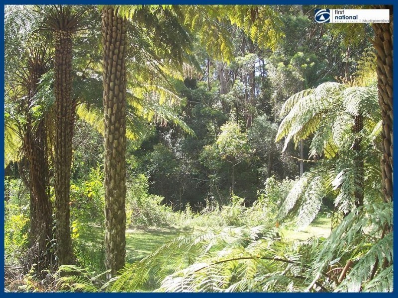 2215 Springbrook Road, Springbrook QLD 4213
