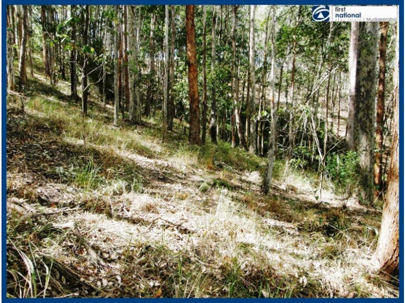 9 Walcoy Place, Worongary QLD 4213