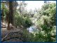 58 Koola Drive, Nerang QLD 4211