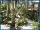 2301 Springbrook Road, Springbrook QLD 4213