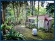 2301 Springbrook Road, Springbrook QLD 4213