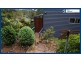 55 Lyrebird Ridge Road, Springbrook QLD 4213