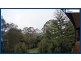 55 Lyrebird Ridge Road, Springbrook QLD 4213