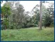 53 Lyrebird Ridge Road, Springbrook QLD 4213