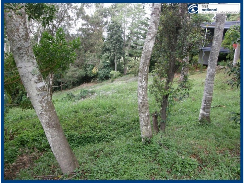 53 Lyrebird Ridge Road, Springbrook QLD 4213