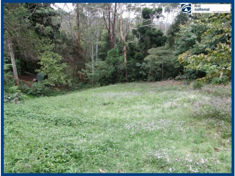 53 Lyrebird Ridge Road, Springbrook QLD 4213