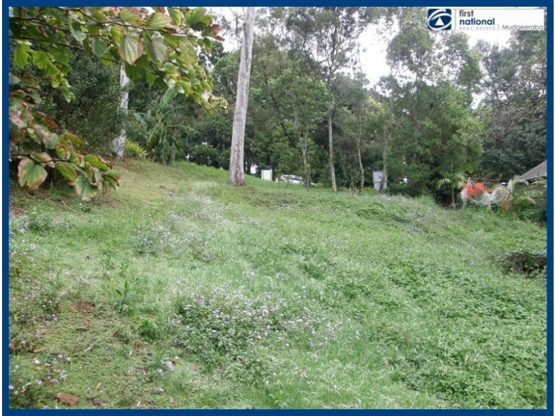 53 Lyrebird Ridge Road, Springbrook QLD 4213