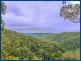 2207 Springbrook Road, Springbrook QLD 4213