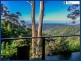 2207 Springbrook Road, Springbrook QLD 4213