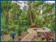 2207 Springbrook Road, Springbrook QLD 4213