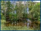 4 Alawara Drive, Tallai QLD 4213