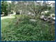 2356 Springbrook Road, Springbrook QLD 4213