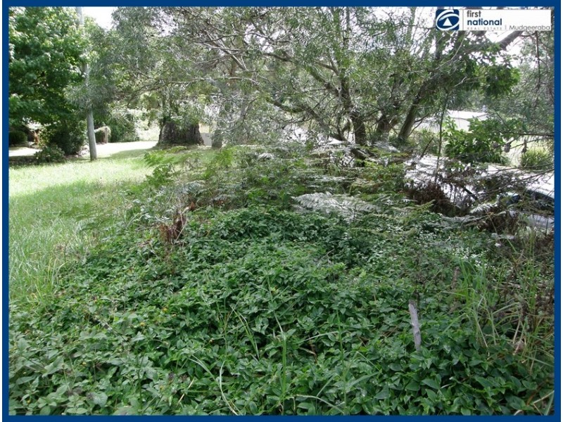 2356 Springbrook Road, Springbrook QLD 4213