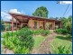 2364 Springbrook Road, Springbrook QLD 4213