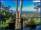 2207 Springbrook Road, Springbrook QLD 4213