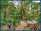 2207 Springbrook Road, Springbrook QLD 4213