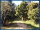 2 Dooloom Drive, Currumbin Valley QLD 4223