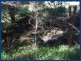 2 Dooloom Drive, Currumbin Valley QLD 4223