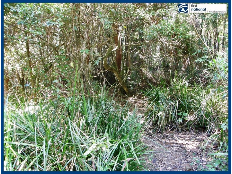 21 Banksia Road, Springbrook QLD 4213