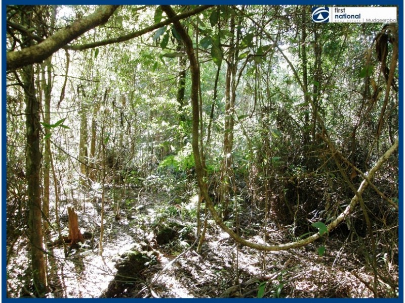 21 Banksia Road, Springbrook QLD 4213