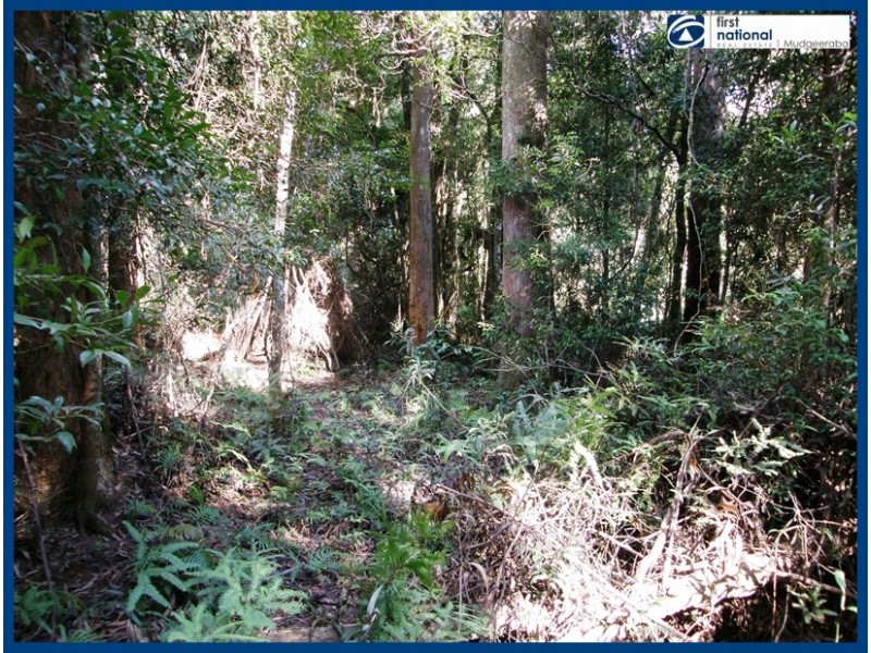 21 Banksia Road, Springbrook QLD 4213