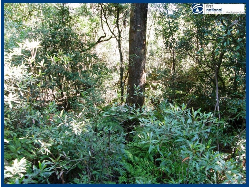 21 Banksia Road, Springbrook QLD 4213