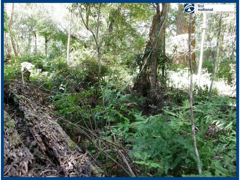 21 Banksia Road, Springbrook QLD 4213