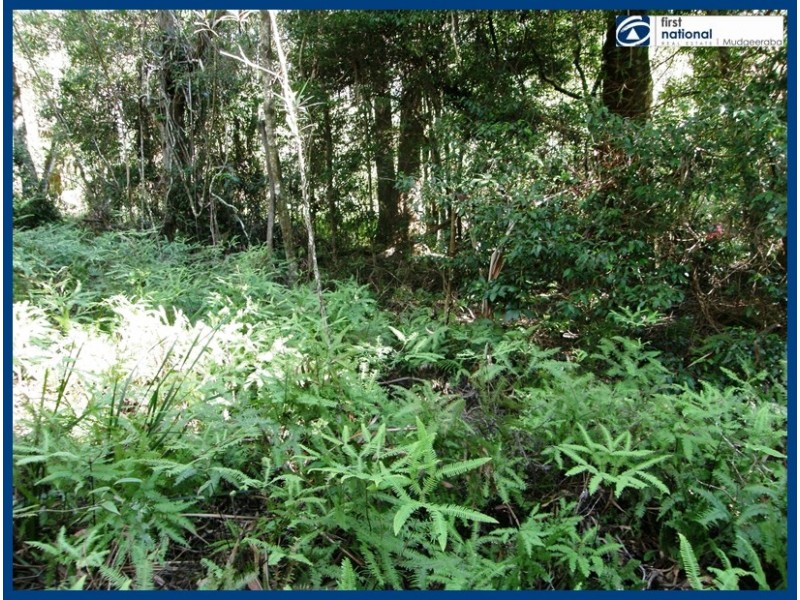 21 Banksia Road, Springbrook QLD 4213