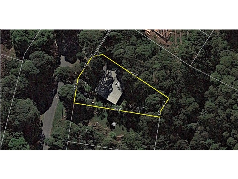 41 Lyrebird Ridge Road, Springbrook QLD 4213