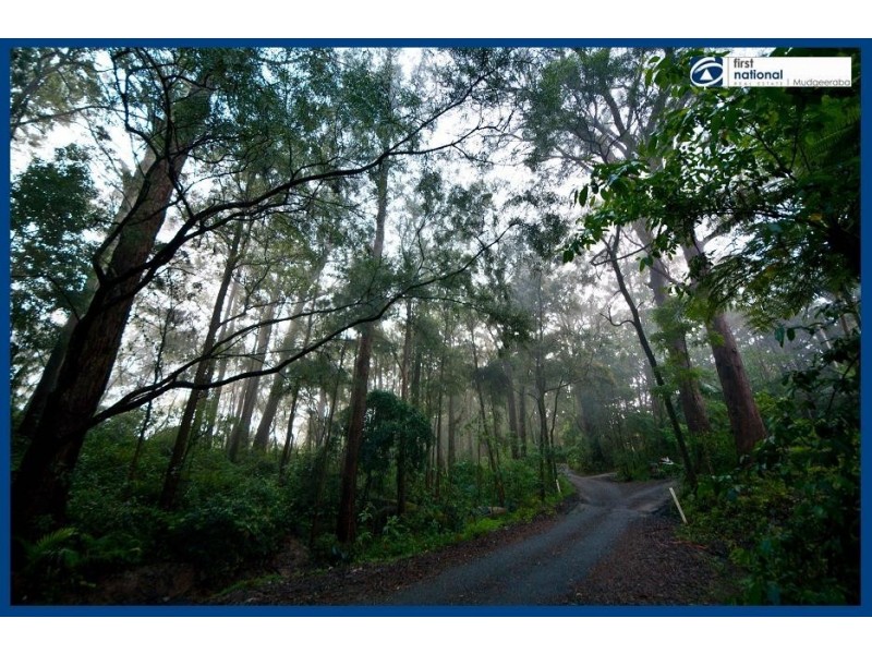 35 Gwongorella Parade, Springbrook QLD 4213