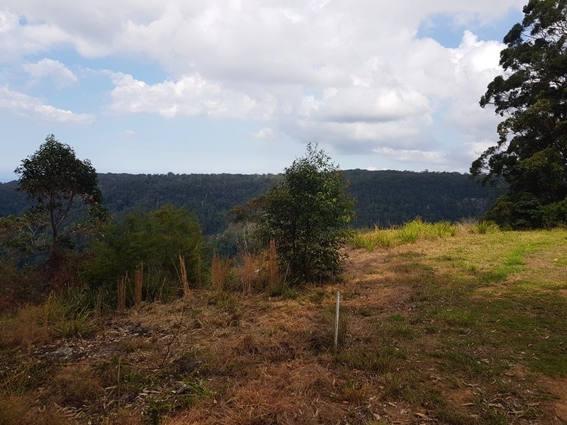 2213 Springbrook Road, Springbrook QLD 4213