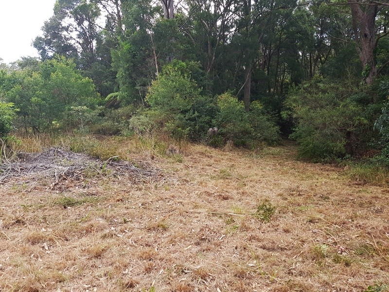 2213 Springbrook Road, Springbrook QLD 4213