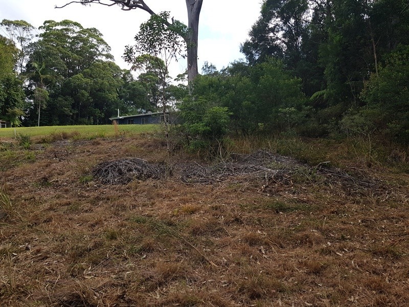 2213 Springbrook Road, Springbrook QLD 4213