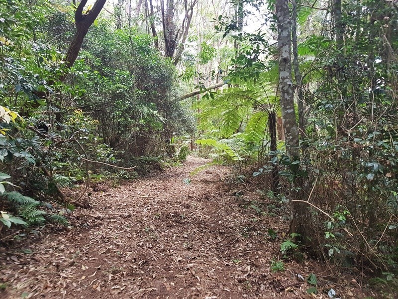 2213 Springbrook Road, Springbrook QLD 4213