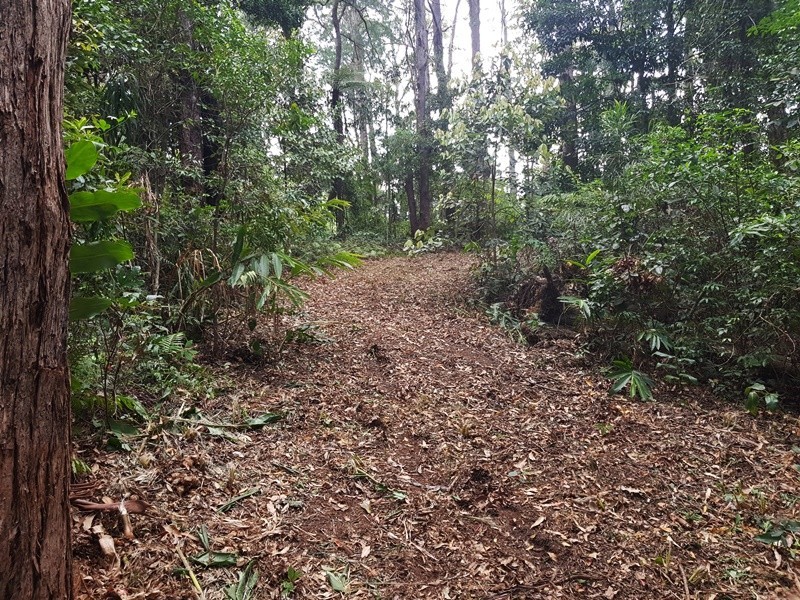 2213 Springbrook Road, Springbrook QLD 4213