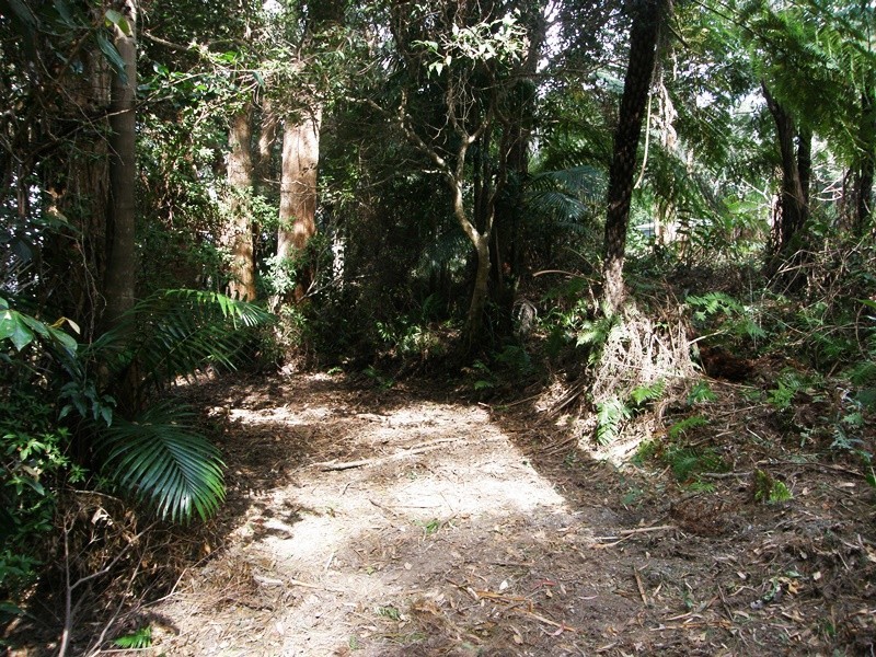 2213 Springbrook Road, Springbrook QLD 4213