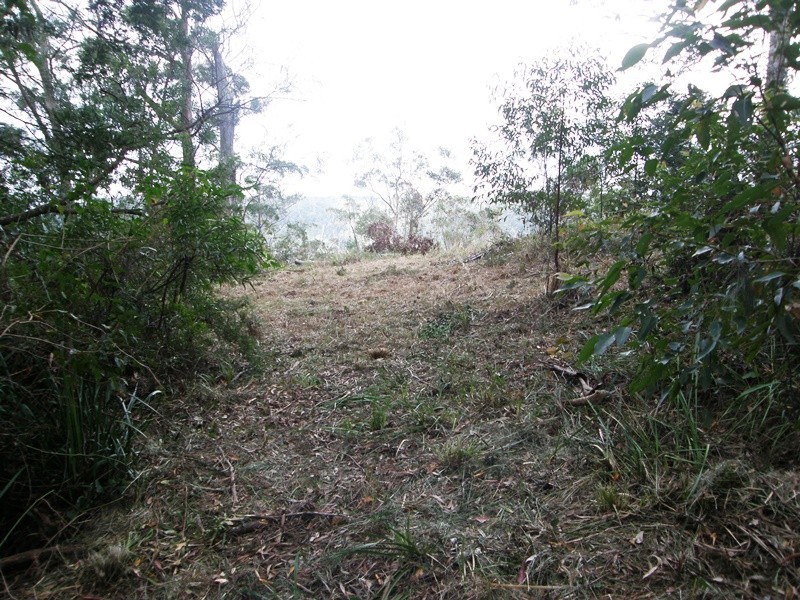 2213 Springbrook Road, Springbrook QLD 4213