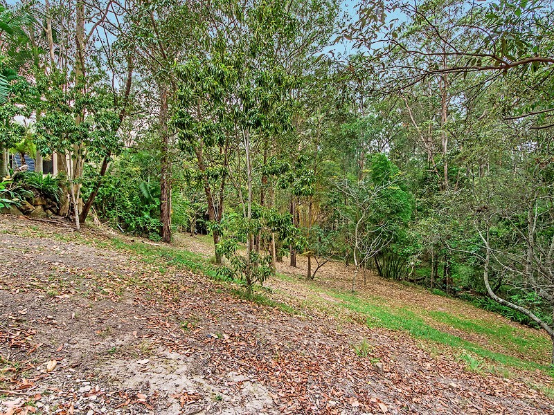 4 Thomas Duncan Court, Worongary QLD 4213