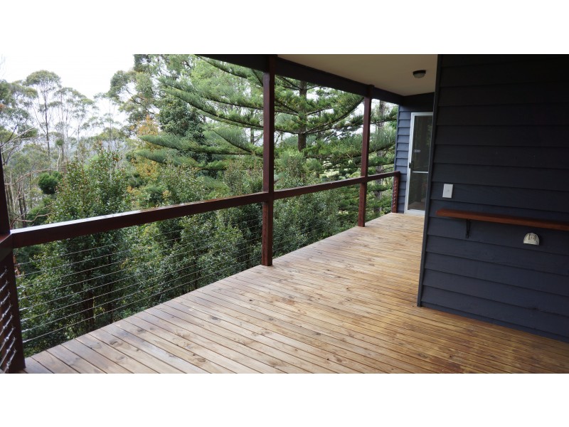 55 Lyrebird Ridge Road, Springbrook QLD 4213