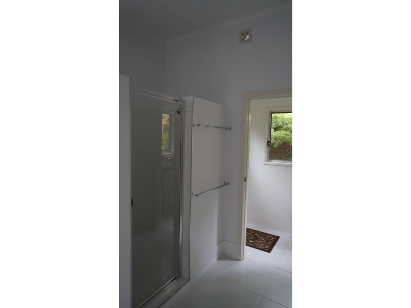 55 Lyrebird Ridge Road, Springbrook QLD 4213