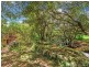 2792 Springbrook Road, Springbrook QLD 4213